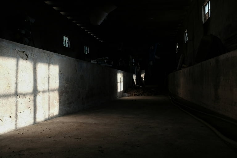 Identificación con el agresor